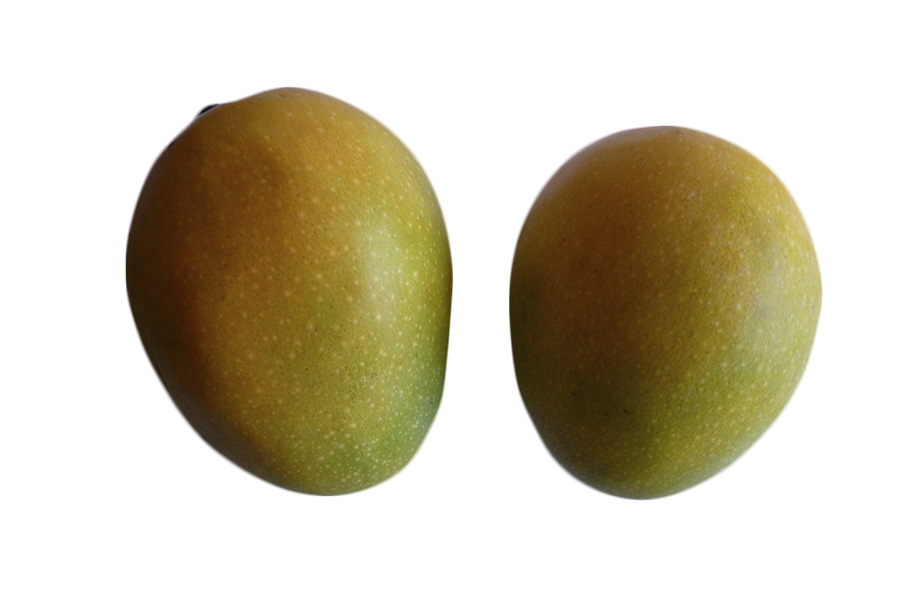 Mango Azúcar