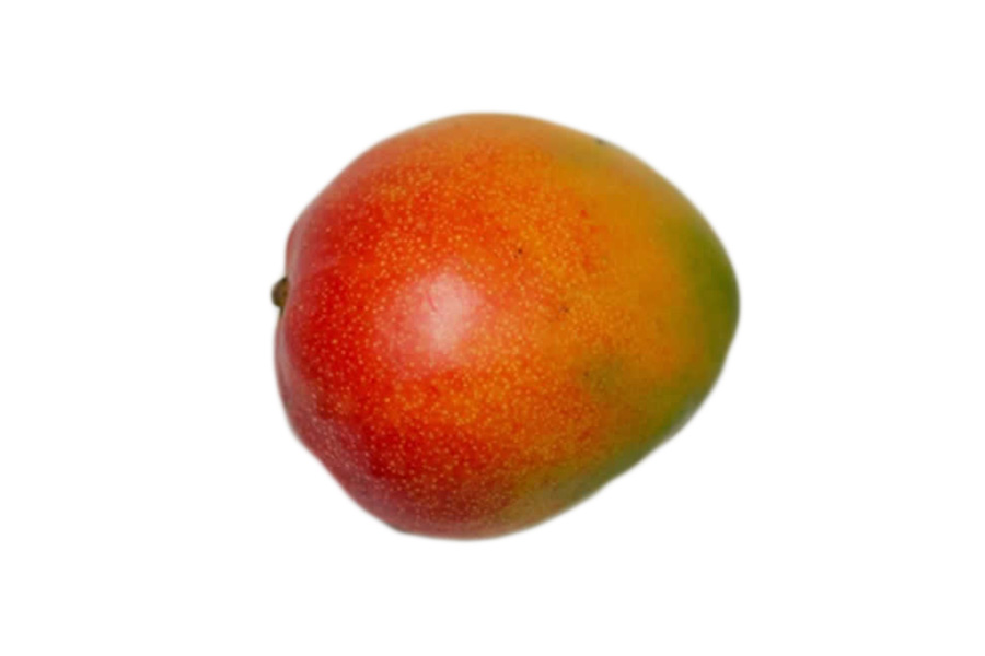 Mango Kent