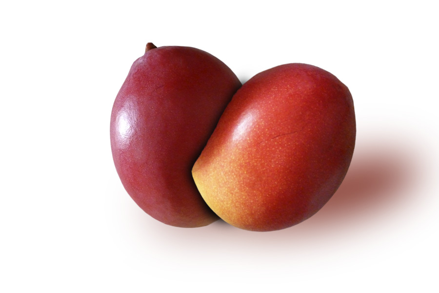 Mango Manzano – Manzana o Vallenato