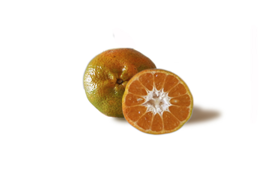 Mandarina Arrayana