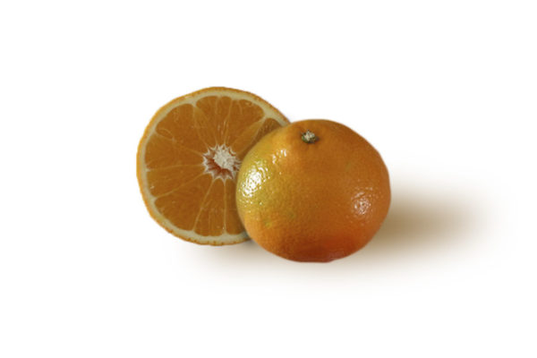 Tangelo Minneola